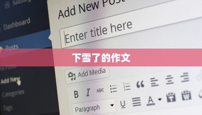 下雪了的作文