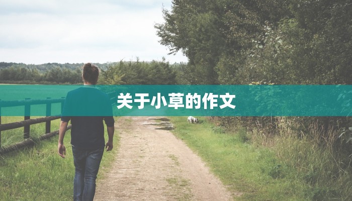 关于小草的作文