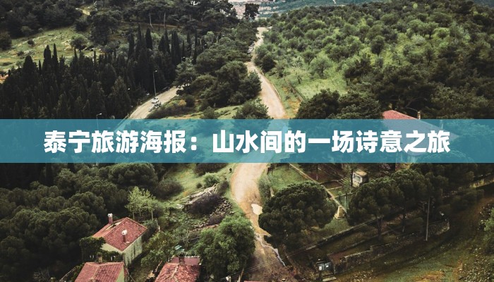 泰宁旅游海报：山水间的一场诗意之旅