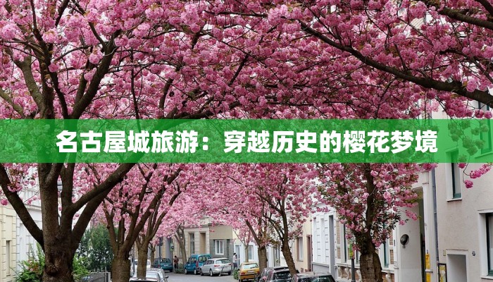 催收疫情最新报告