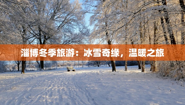淄博冬季旅游：冰雪奇缘，温暖之旅