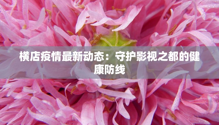 横店疫情最新动态：守护影视之都的健康防线