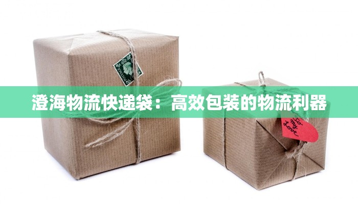 澄海物流快递袋：高效包装的物流利器