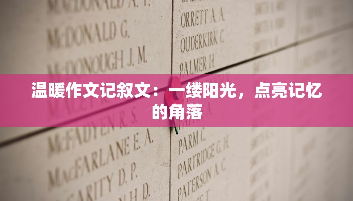 温暖作文记叙文：一缕阳光，点亮记忆的角落