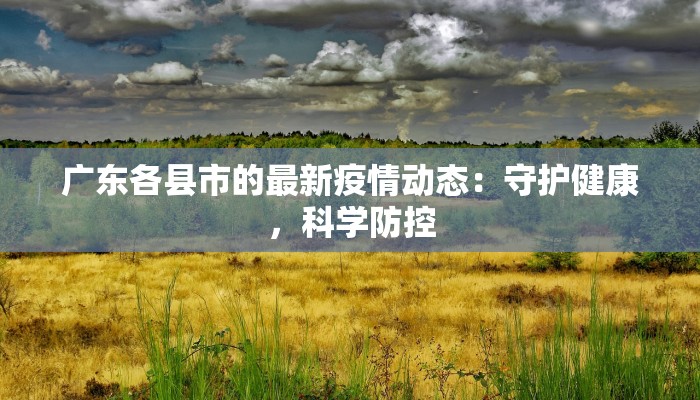 广东各县市的最新疫情动态：守护健康，科学防控