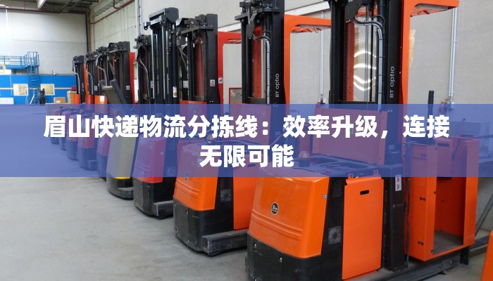 眉山快递物流分拣线：效率升级，连接无限可能