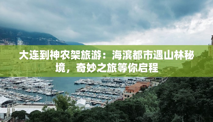 大连到神农架旅游：海滨都市遇山林秘境，奇妙之旅等你启程