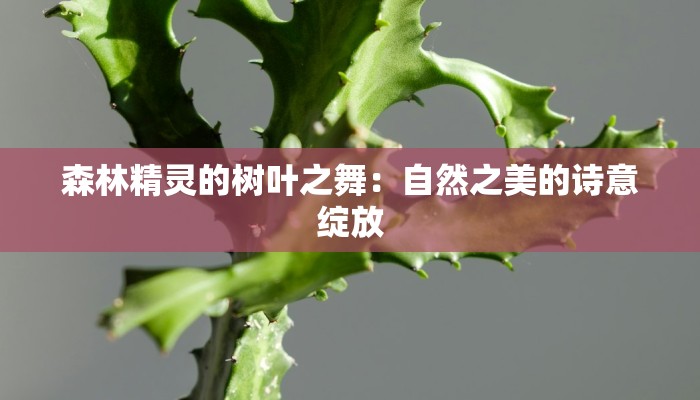 森林精灵的树叶之舞：自然之美的诗意绽放
