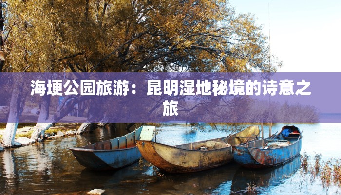 晋江苏厝疫情最新情况