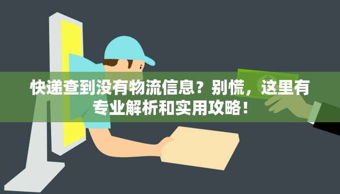 快递查到没有物流信息？别慌，这里有专业解析和实用攻略！
