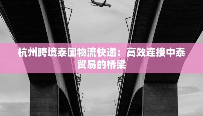 杭州跨境泰国物流快递：高效连接中泰贸易的桥梁