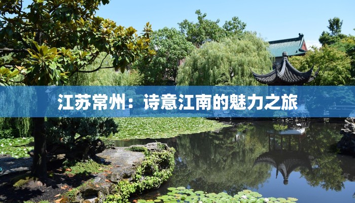 中亚快递物流中心地址：连接欧亚的物流枢纽