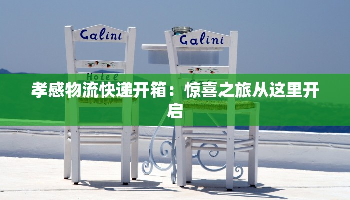 孝感物流快递开箱：惊喜之旅从这里开启